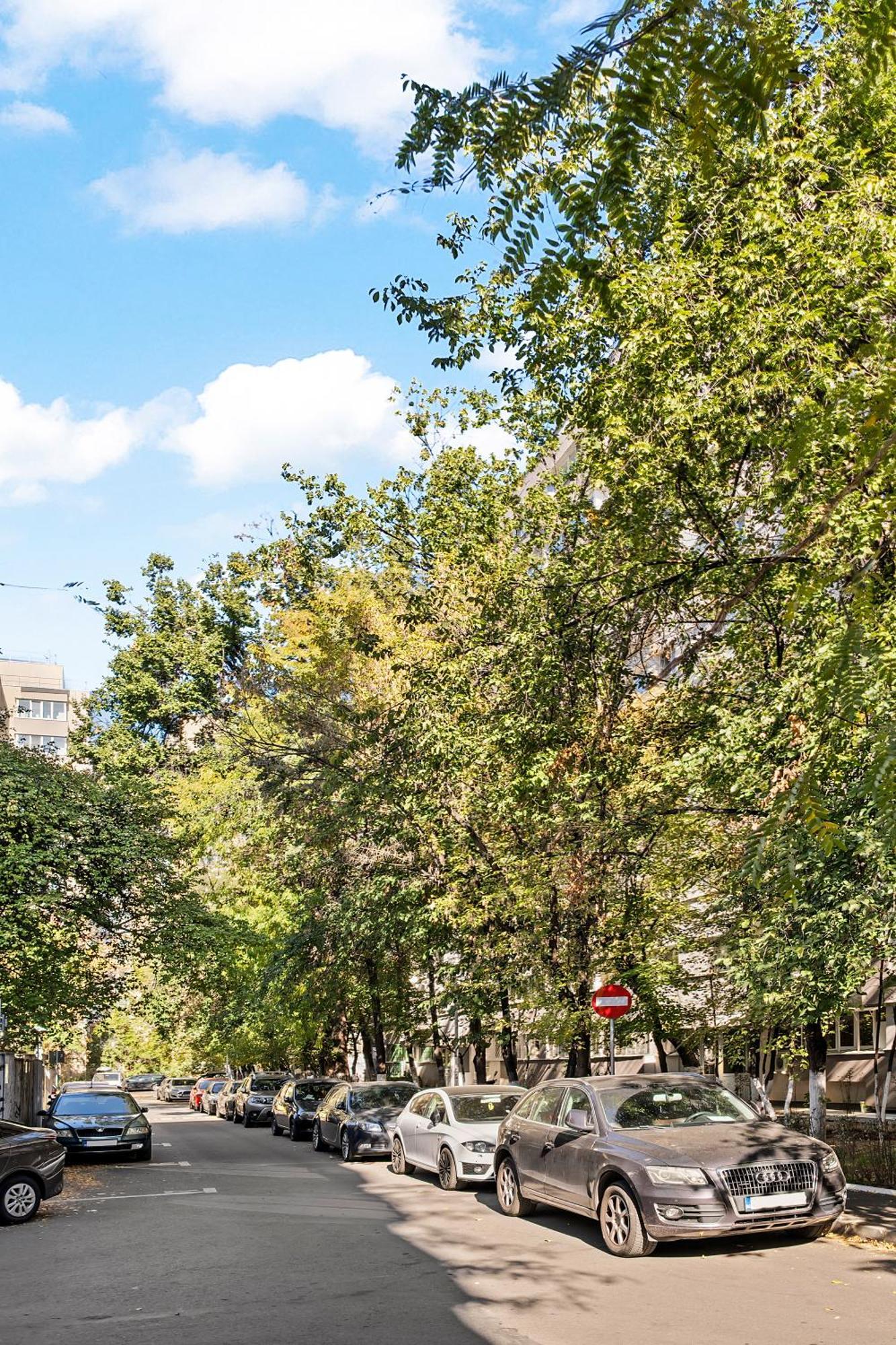 De Lux Drumul Taberei Bucarest
